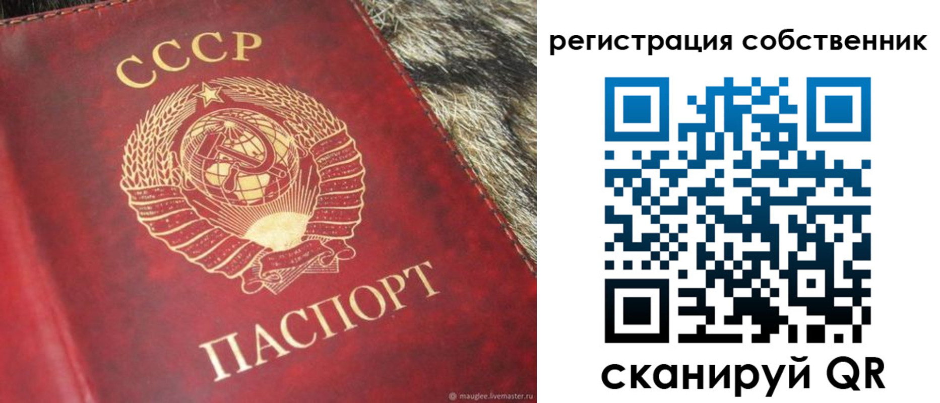 временная регистрация надежно в Вольске